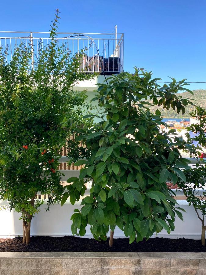 ארגוסטולי Citrus Apartment מראה חיצוני תמונה